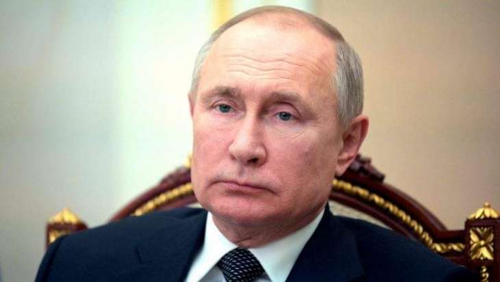 Expression Unfriendly States Not Accurate, Unfriendly Foreign Elites Cause Damage - Putin