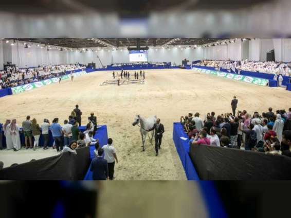 خيول الإمارات تسيطر على أشواط اليوم الأول في "دولية" دبي للجواد العربي