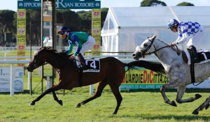 Over 20 horses to compete in Al Wathba Stallions in Italy