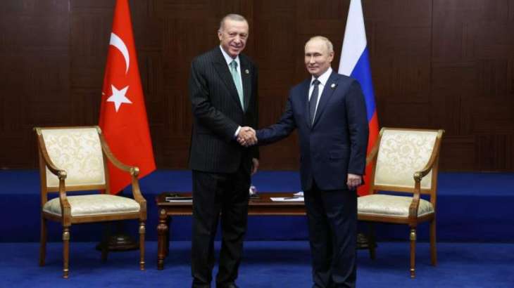 Erdogan, Putin Discuss Situation in Ukraine by Phone - Presidency
