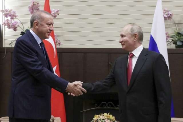 Putin, Erdogan Positively Assess Bilateral Economic Ties - Kremlin