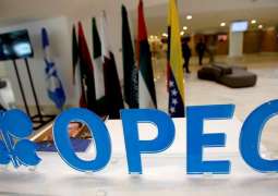 OPEC+ Committee Sees Importance of Oil Output Cuts of Several Member States - Novak