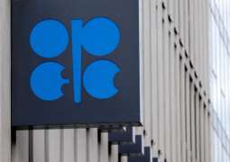 Several OPEC+ States, Including Russia, to Cut Oil Production by 1.66Mln Bpd - Communique