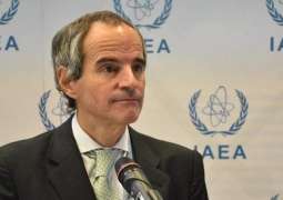 IAEA Head Grossi to Visit Russia's Kaliningrad on Wednesday - Official