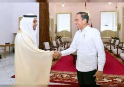 President of Indonesia receives UAE ambassador