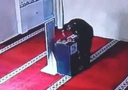 القبض علی لص بتھمة سرقة أموال التبرعات من داخل مسجد فی مدینة سامسون