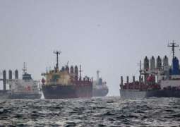 Ukraine Requests Turkey to Arrest Ship Carrying Allegedly Stolen Barley - Reports