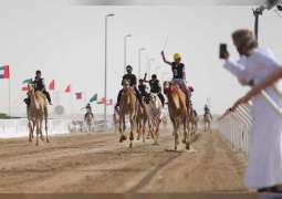 الظاهري يتوج بلقب الشوط الأول في السباق التراثي لمهرجان ختامي الوثبة 2023 للهجن العربية