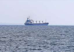 Iranian Military Seizes Oil Tanker in Gulf of Oman - Reports
