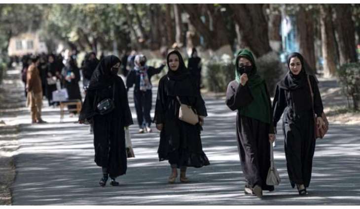 Pressure on Taliban Will Come in Various Ways Amid Ban on Women Working for UN -UK Mission