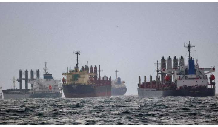 Ukraine Requests Turkey to Arrest Ship Carrying Allegedly Stolen Barley - Reports