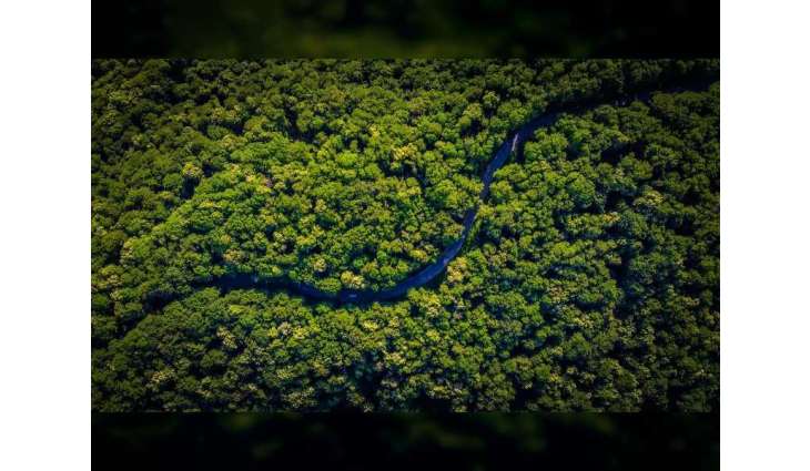 Action on Climate and Trade initiative aims to help developing  countries meet climate goals: WEF