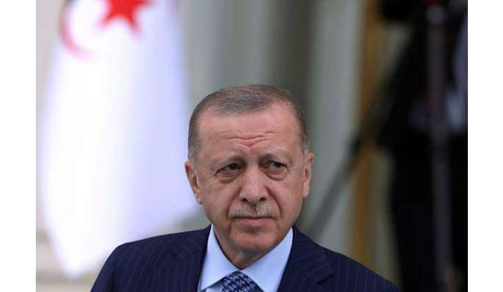 Erdogan Says Feels 'Much Better' After Bout of Stomach Flu