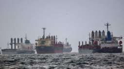 Ukraine Requests Turkey to Arrest Ship Carrying Allegedly Stolen Barley - Reports