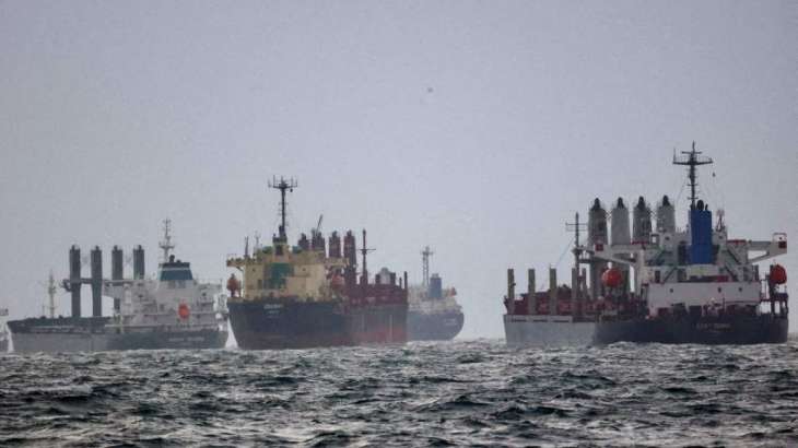Ukraine Requests Turkey to Arrest Ship Carrying Allegedly Stolen Barley - Reports
