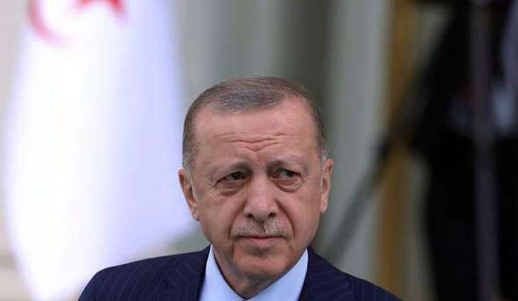 Erdogan Says Feels 'Much Better' After Bout of Stomach Flu