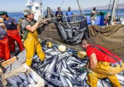 Canada Becomes Fifth State to Accept WTO Agreement on Fisheries Subsidies - Global Affairs