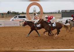 مهرجان منصور بن زايد للخيول العربية الأصيلة ينطلق غدا بمضمار مراكش في المغرب