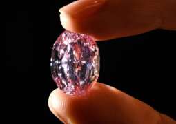 Belgium Planning to Assist West in Efforts Against Russian Diamonds Sale - Prime Minister