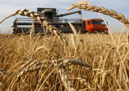 US Does Not Sanction Russian Grain-Deal Products, Speaks to Banks Regularly - US Official