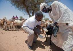 Sudanese Health Minister Denies WHO Report of Infectious Disease Outbreaks