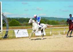غداً.. انطلاق مهرجان سباقات منصور بن زايد للخيول العربية الأصيلة في إسبانيا