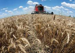 Ukraine, Moldova, Romania Agree to Share Information on Wheat Supplies - Ministry