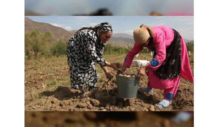 Regional cooperation vital to addressing climate change in Central and West Asia, says ADB