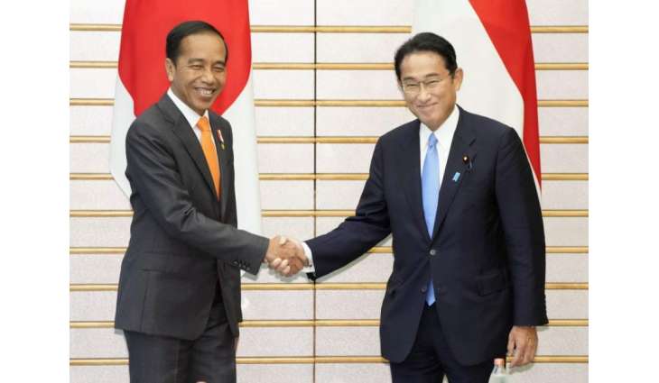 Japanese, Indonesian Leaders Discuss Cooperation at G7 Summit - Ministry