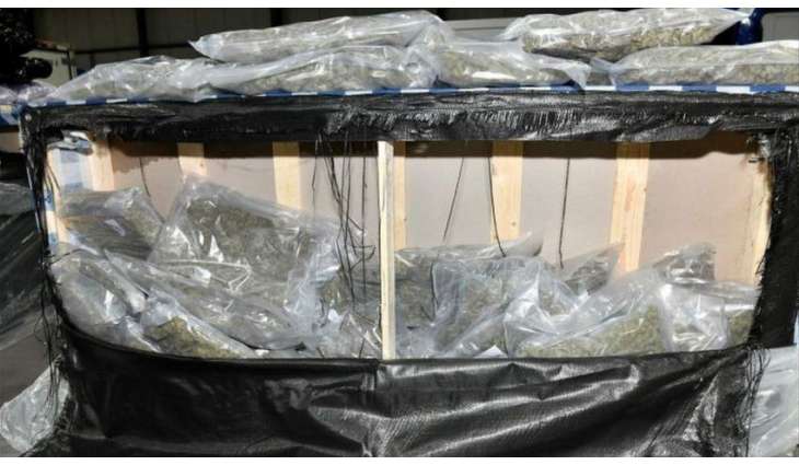 UK Police Seize $7.4Mln Worth of Cannabis at Belfast Port