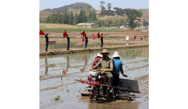 S. Korean Intelligence Says North's Rising Food Prices Triple Starvation Deaths - Reports
