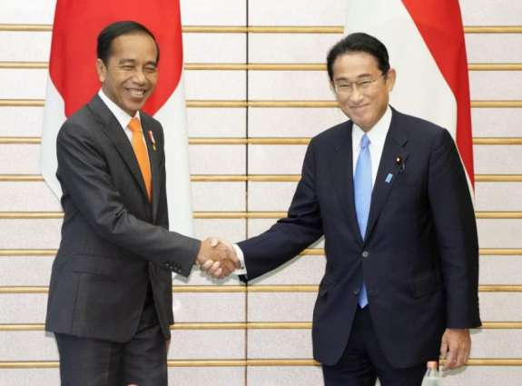 Japanese, Indonesian Leaders Discuss Cooperation at G7 Summit - Ministry