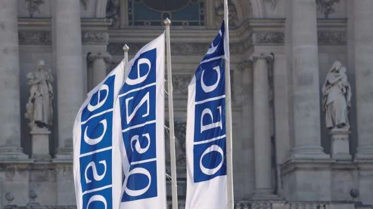 OSCE Says Expects to Conduct Needs Review Next Spring for 2024 US Election Monitoring
