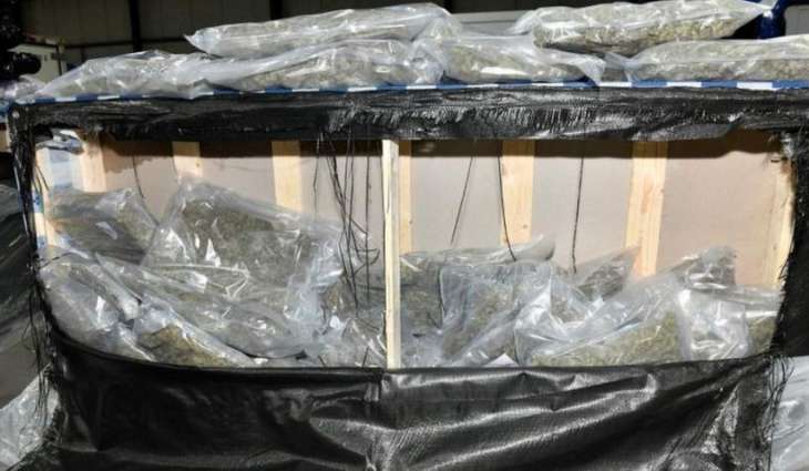UK Police Seize $7.4Mln Worth of Cannabis at Belfast Port