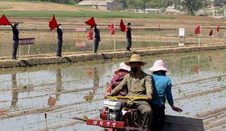 S. Korean Intelligence Says North's Rising Food Prices Triple Starvation Deaths - Reports