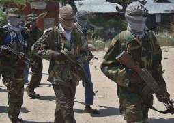 US Strike Kills 3 al-Shabab Fighters in Somalia - AFRICOM