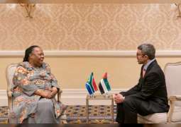 Abdullah bin Zayed meets South African Minister of International Relations on sidelines 'Friends of BRICS' meeting