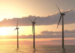 Egypt, UAE to Create Large-Scale Wind Power Project - Reports