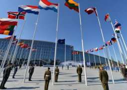 NATO Should Offer Ukraine Pathway to Membership at Vilnius Summit - Estonian Lawmaker
