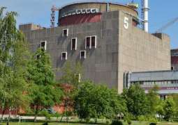 ZNPP Cooling Pool's Waterproofing Carried Out to Save Water - Russia's Rosenergoatom