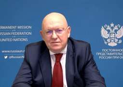 Russia Will Continue Its Support to Mali, Including Help With Security Needs - Nebenzia