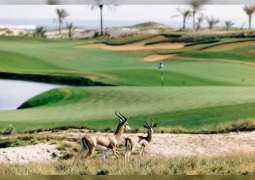 "الفنادق المستدامة" في الإمارات .. خدمات فاخرة وحماية لموارد الطبيعة