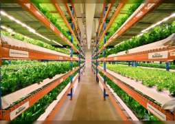 الزراعة الذكية مناخياً في الإمارات.. حلول مبتكرة لتحقيق الأمن الغذائي وحماية البيئة