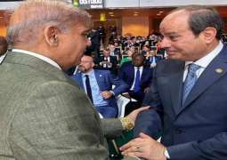 رئیس الوزراء شھباز شریف یلتقي مع الرئیس المصري السیسي