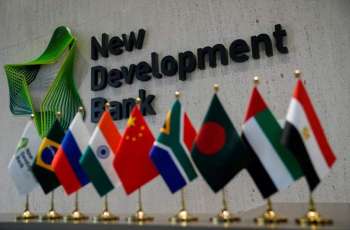 Indonesian Foreign Minister Urges BRICS to Fight for Each Country's Development Right