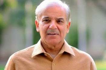 PM Shehbaz stresses upon political stability for economic growth
