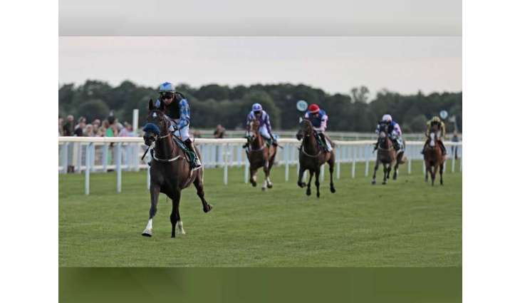 'Thaydah Athbah' crowned winner of Al Wathba Stallions Cup for Arabian horses in UK
