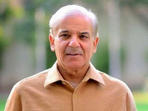 PM Shehbaz stresses upon political stability for economic growth