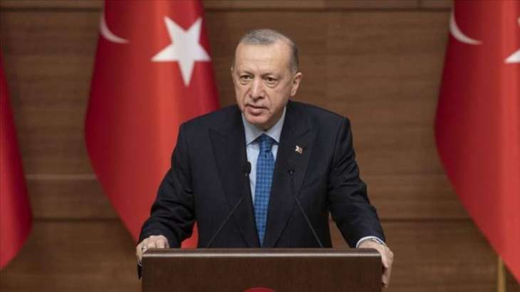 Turkish President to Pay First Visits Abroad Following Reelection - Reports
