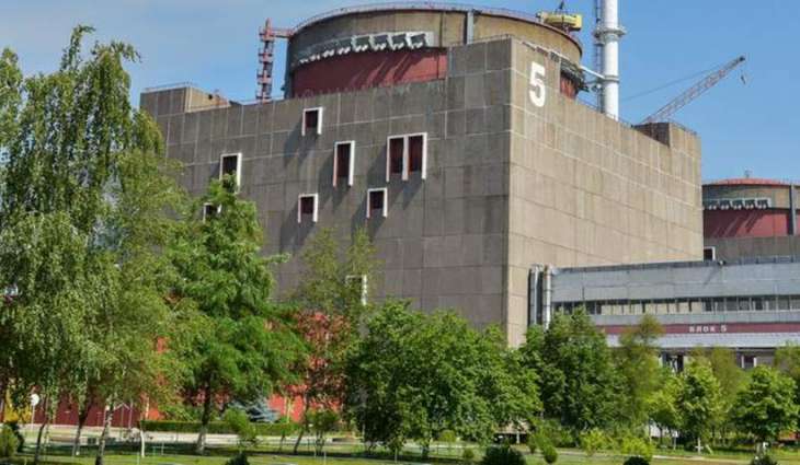 ZNPP Cooling Pool's Waterproofing Carried Out to Save Water - Russia's Rosenergoatom